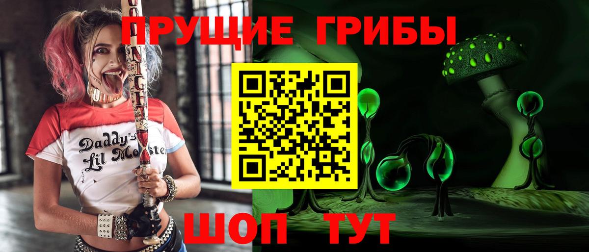 Галлюциногенные грибы Cubensis Наро-Фоминск