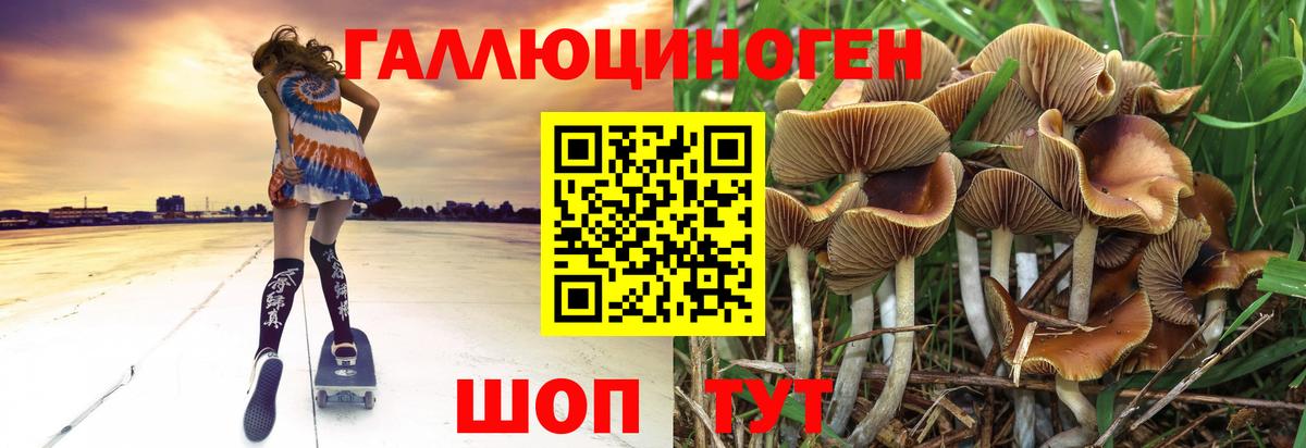 Псилоцибиновые грибы прущие грибы  Вход с VPN  Наро-Фоминск  Галлюциногенные грибы мицелий 